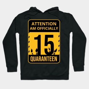 15th Birthday Officially a Quaranteen 15 Years Old Hoodie